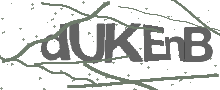 Captcha Bild