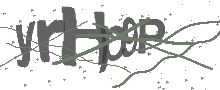 Captcha Bild