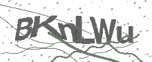Captcha Bild