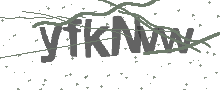 Captcha Bild