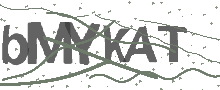 Captcha Bild