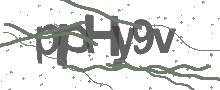 Captcha Bild