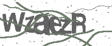 Captcha Bild