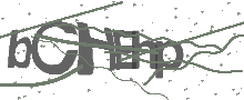 Captcha Bild