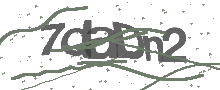 Captcha Bild
