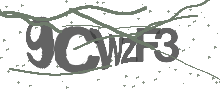 Captcha Bild
