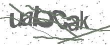 Captcha Bild