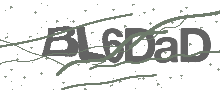 Captcha Bild