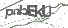 Captcha Bild