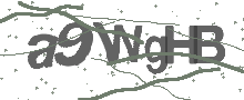 Captcha Bild