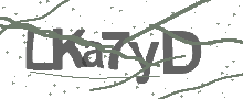 Captcha Bild