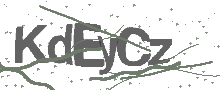 Captcha Bild