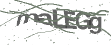 Captcha Bild