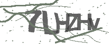 Captcha Bild