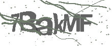 Captcha Bild