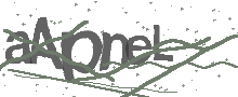 Captcha Bild