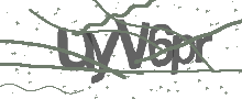Captcha Bild