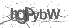 Captcha Bild