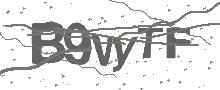 Captcha Bild
