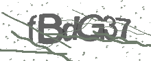 Captcha Bild