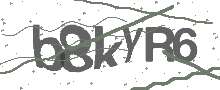 Captcha Bild