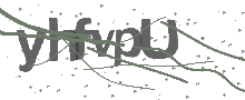 Captcha Bild