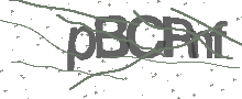 Captcha Bild