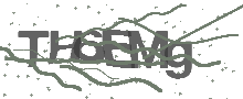 Captcha Bild