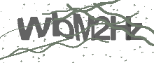 Captcha Bild