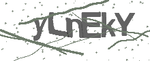 Captcha Bild