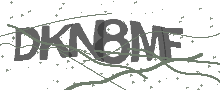 Captcha Bild