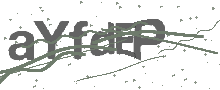 Captcha Bild