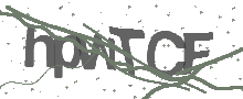 Captcha Bild
