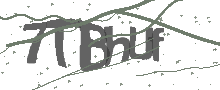Captcha Bild