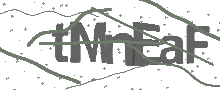 Captcha Bild