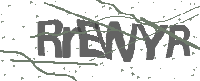 Captcha Bild