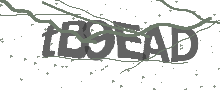 Captcha Bild