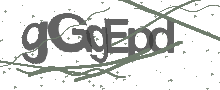 Captcha Bild