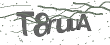 Captcha Bild