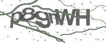 Captcha Bild