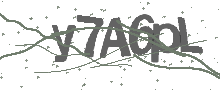 Captcha Bild