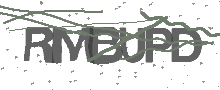 Captcha Bild