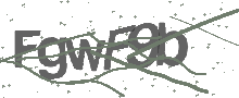 Captcha Bild