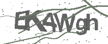 Captcha Bild