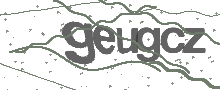 Imagen de seguridad