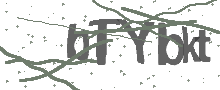 Captcha Bild
