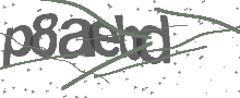 Captcha Bild
