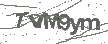 Captcha Bild
