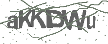 Captcha Bild