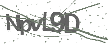 Captcha Bild